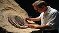 A trilobite fossil poses like a velvet-rope bouncer while a paleontologist measures it, clipboard ready, as if taking the trilobite’s headshot for eternity.