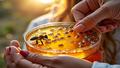 Primary image shows a scientist holding a petri dish labeled Bee Sterols beside a buzzing honeycomb.