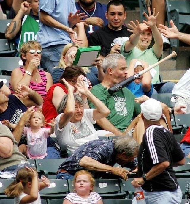 There's just so many great things about this picture... : r/funny
