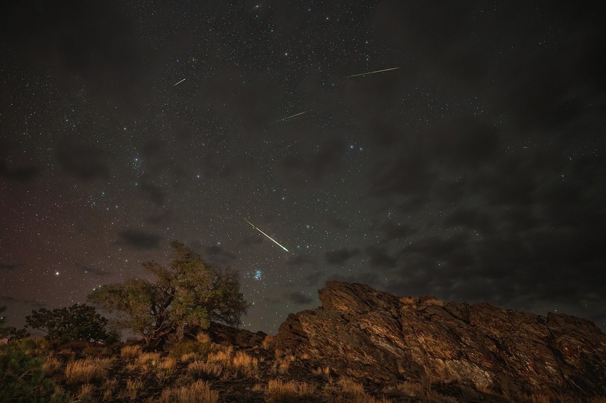 Perseids - NASA Science
