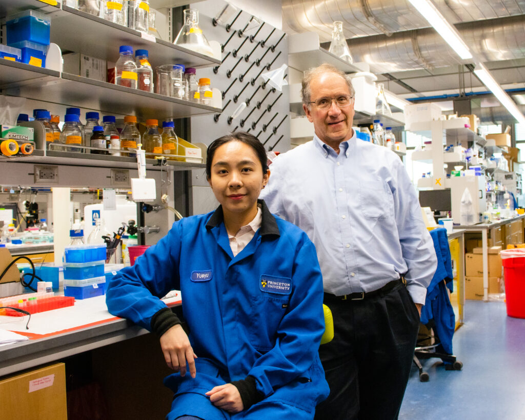 Hecht/Scholes Create Room Temp Quantum Dots Using A Novel Protein ...